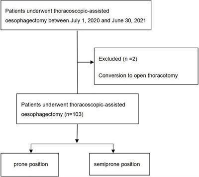 Adverse outcomes of artificial pneumothorax under right bronchial occlusion for patients with thoracoscopic-assisted oesophagectomy in the prone position versus the semiprone position